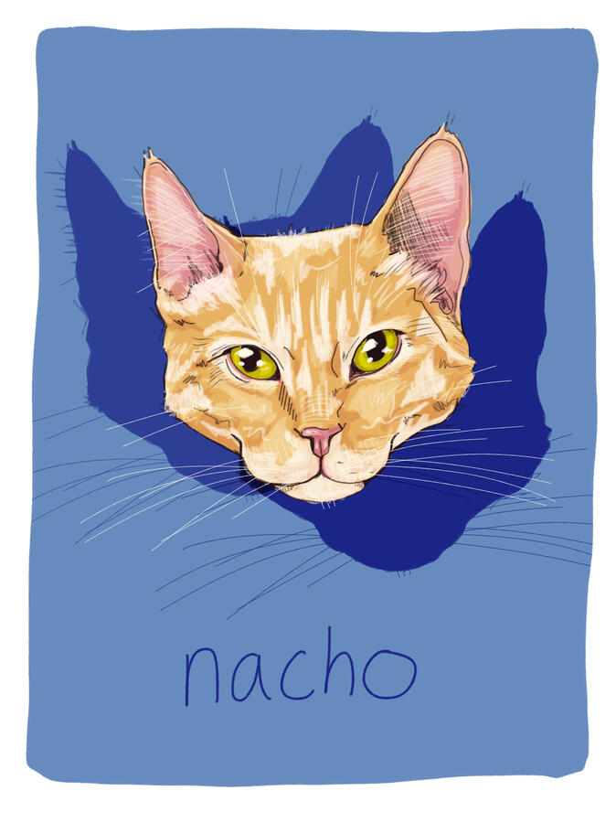 “nacho”, 2026 | digital portrait