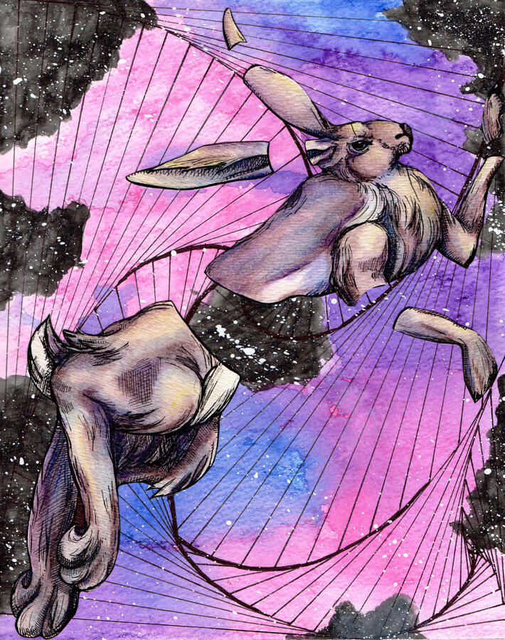 "Lost in Time and Space Rabbit', 2016 | mix media