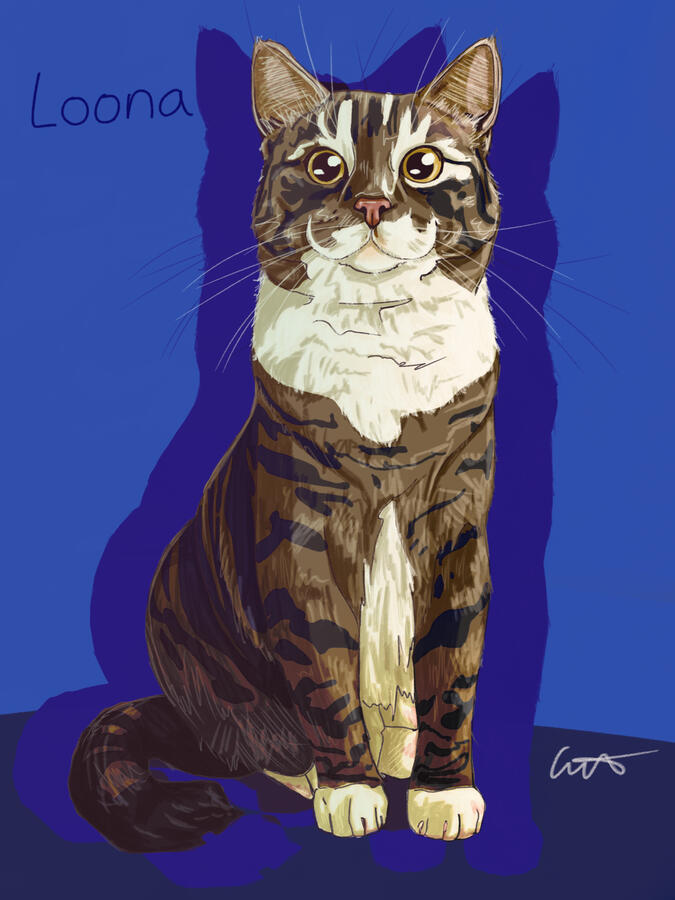 “Loona”, 2026 | digital portrait