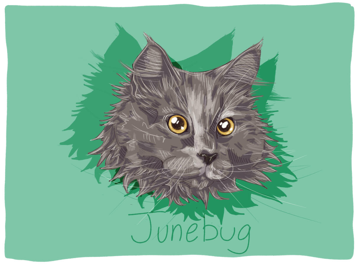 “Junebug”, 2026 | digital portrait
