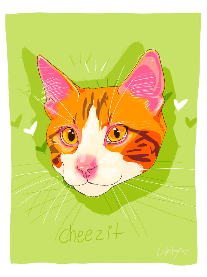 “cheezit”, 2025 | digital portrait