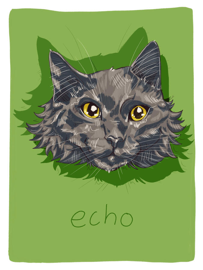 “echo”, 2026 | digital portrait