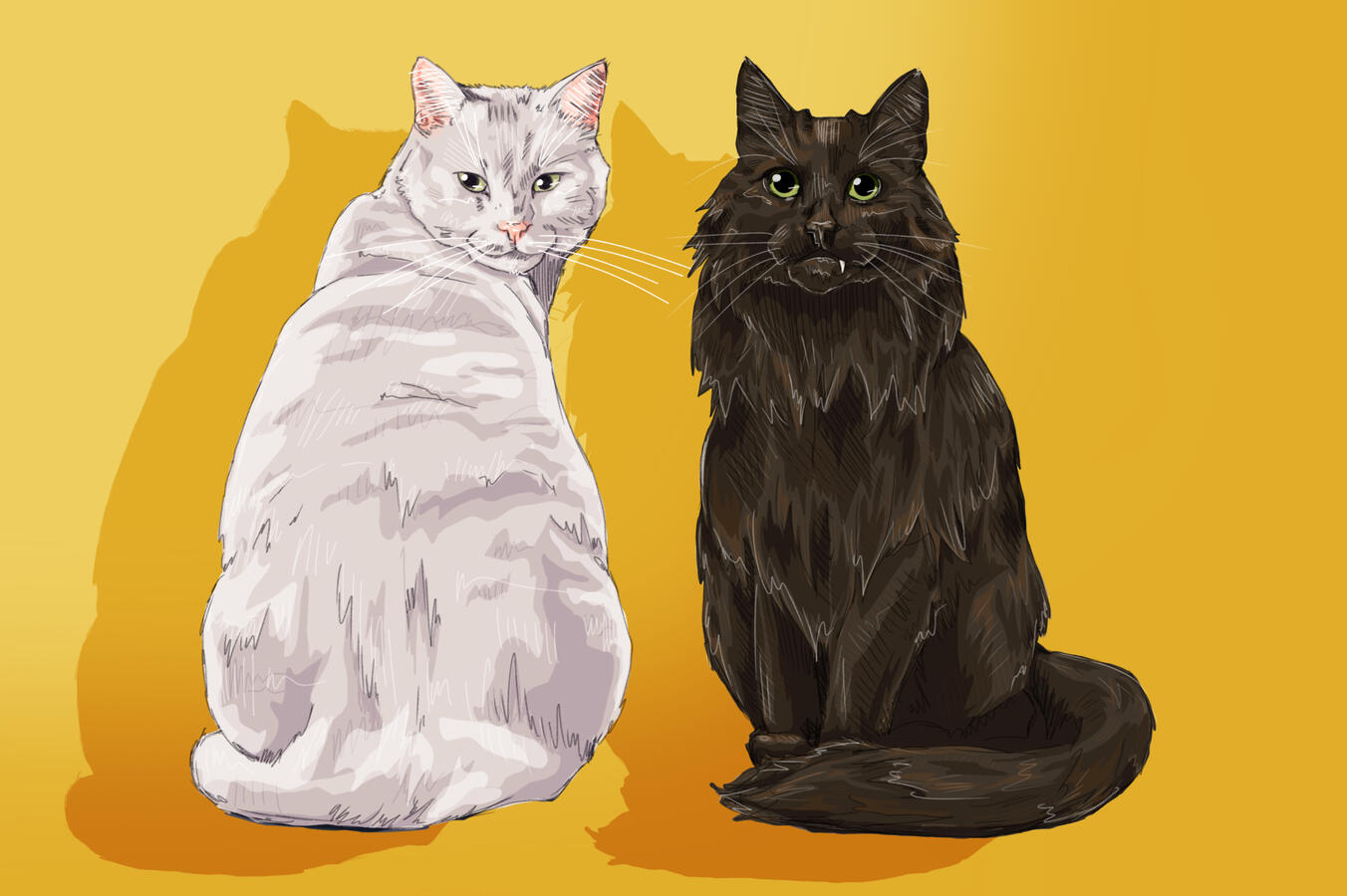“wampa and bagheera”, 2026 | digital portrait